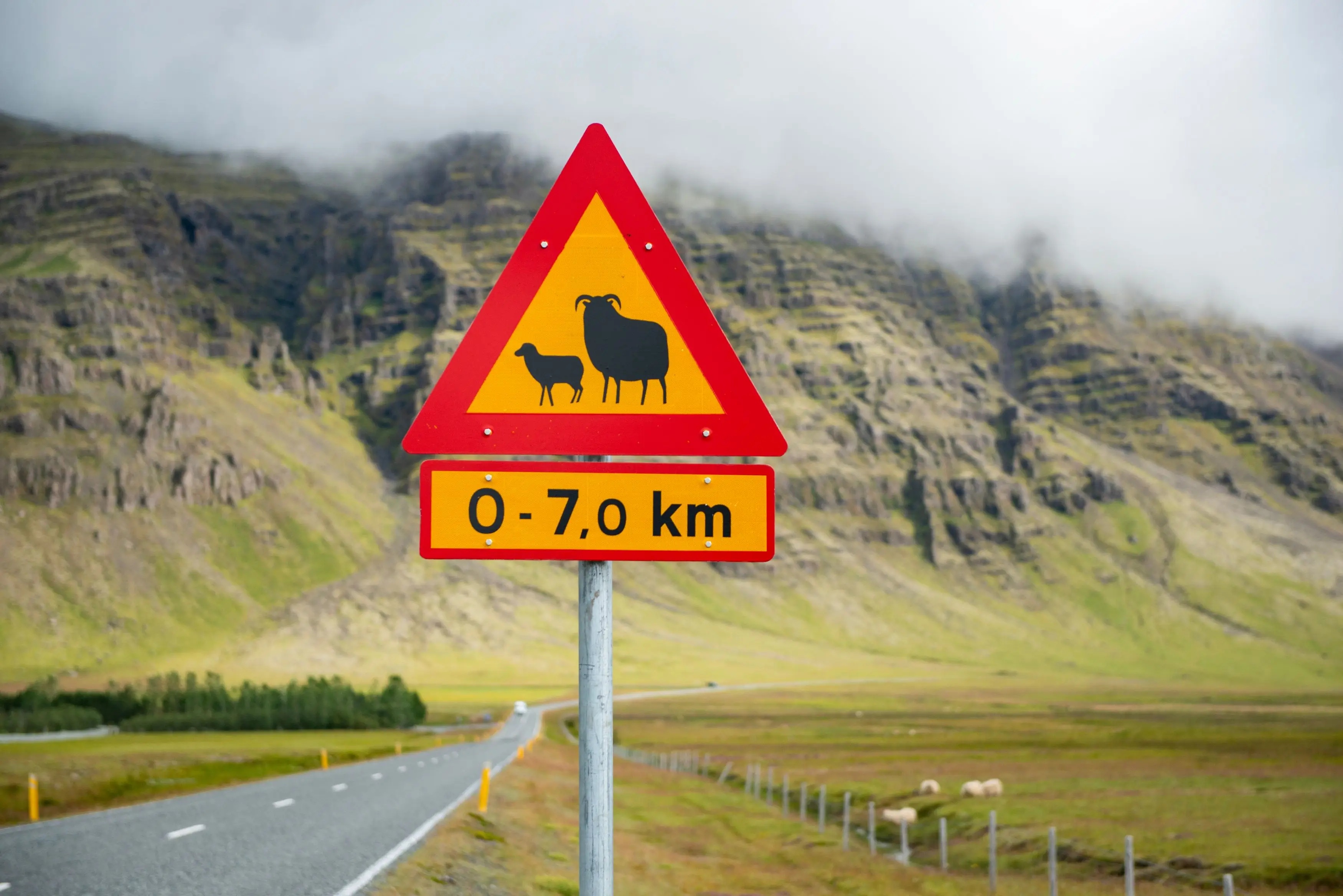 Safety First: What to Do in Case of a Road Emergency in Iceland